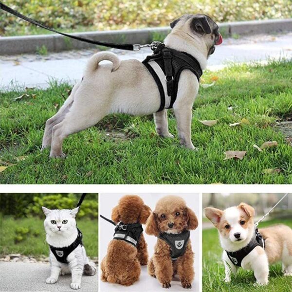 Katzengeschirr mit Leine Ausbruchsicher, Katzenleine mit Geschirr, Cat Harness, M – Bild 5