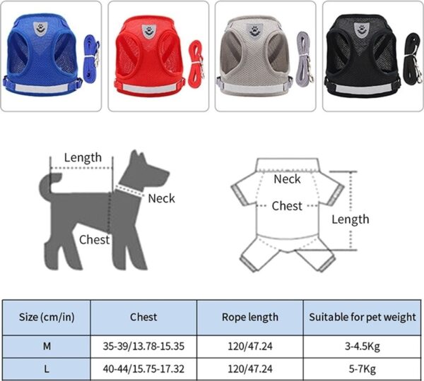 Katzengeschirr mit Leine Ausbruchsicher, Katzenleine mit Geschirr, Cat Harness, M – Bild 6